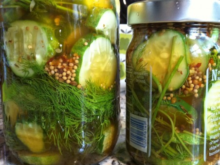 Pickles In-Progress Pickles!